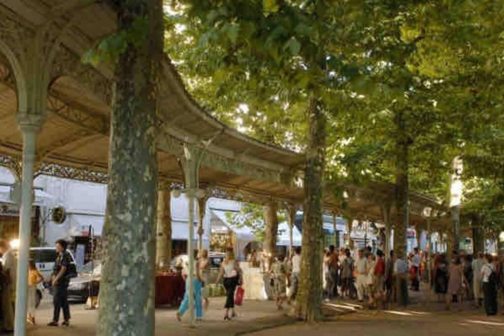 Ferienwohnung L'Opaline - Proche Gare Vichy Exterior foto